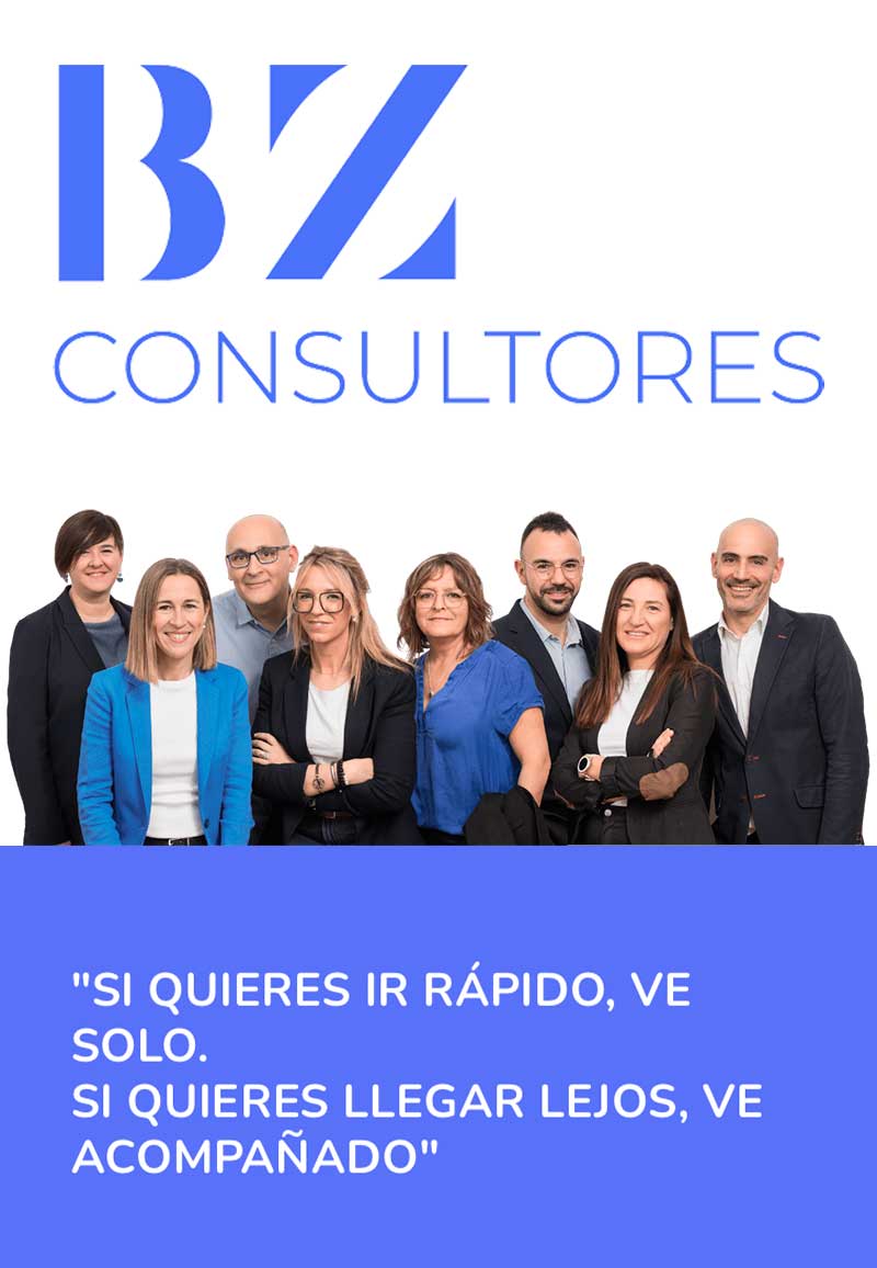 bzconsultores